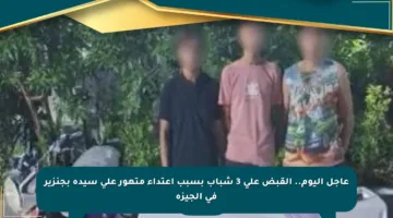 عاجل اليوم.. القبض على 3 شباب بسبب اعتداء متهور على سيدة بجنزير في الجيزة
